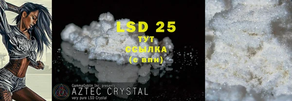 прущие грибы Балахна