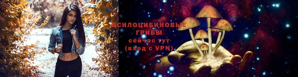 соль ск Арсеньев