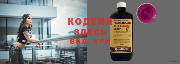 прущие грибы Балахна