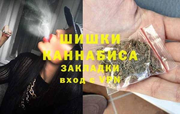 прущие грибы Баксан