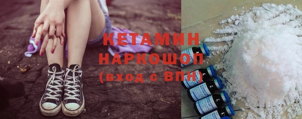 прущие грибы Баксан