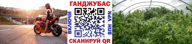 закладка Балахна Бошки марихуана ГИДРОПОН